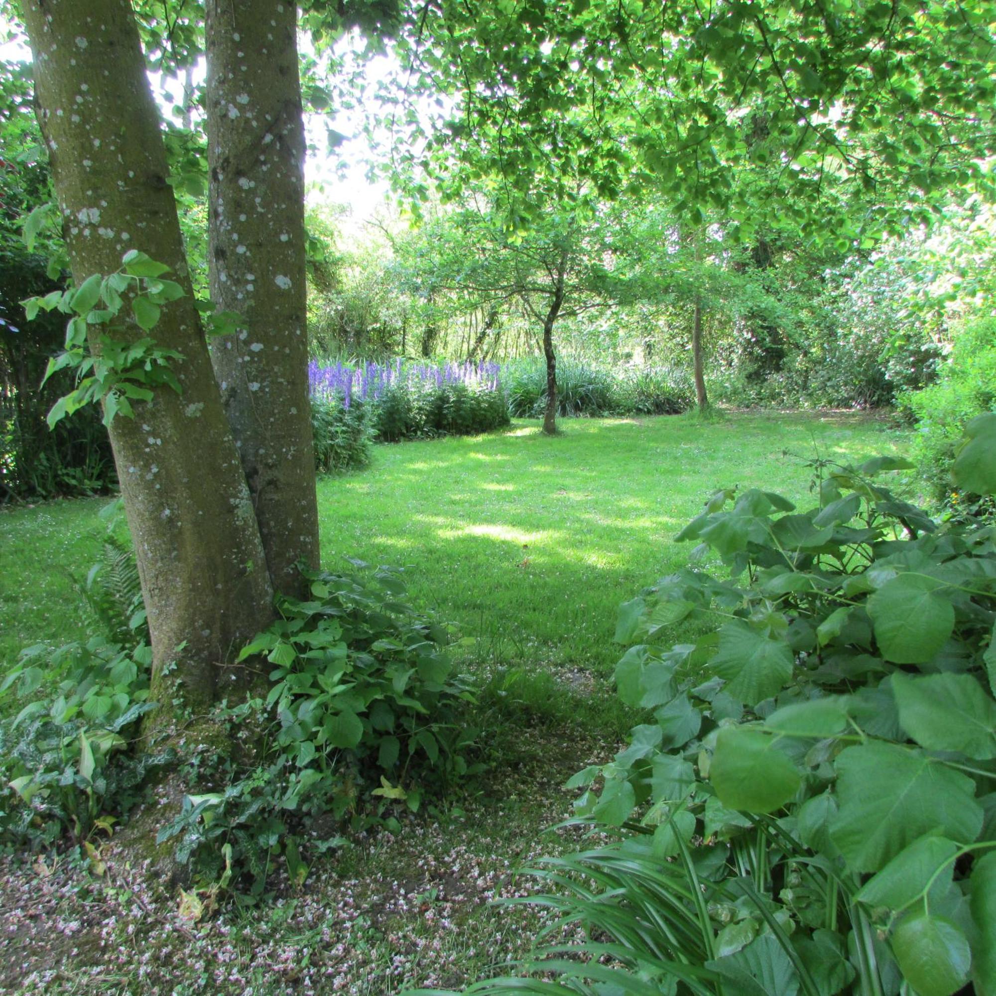 Gite Manoir Les Camps Greslins Questrecques Bagian luar foto