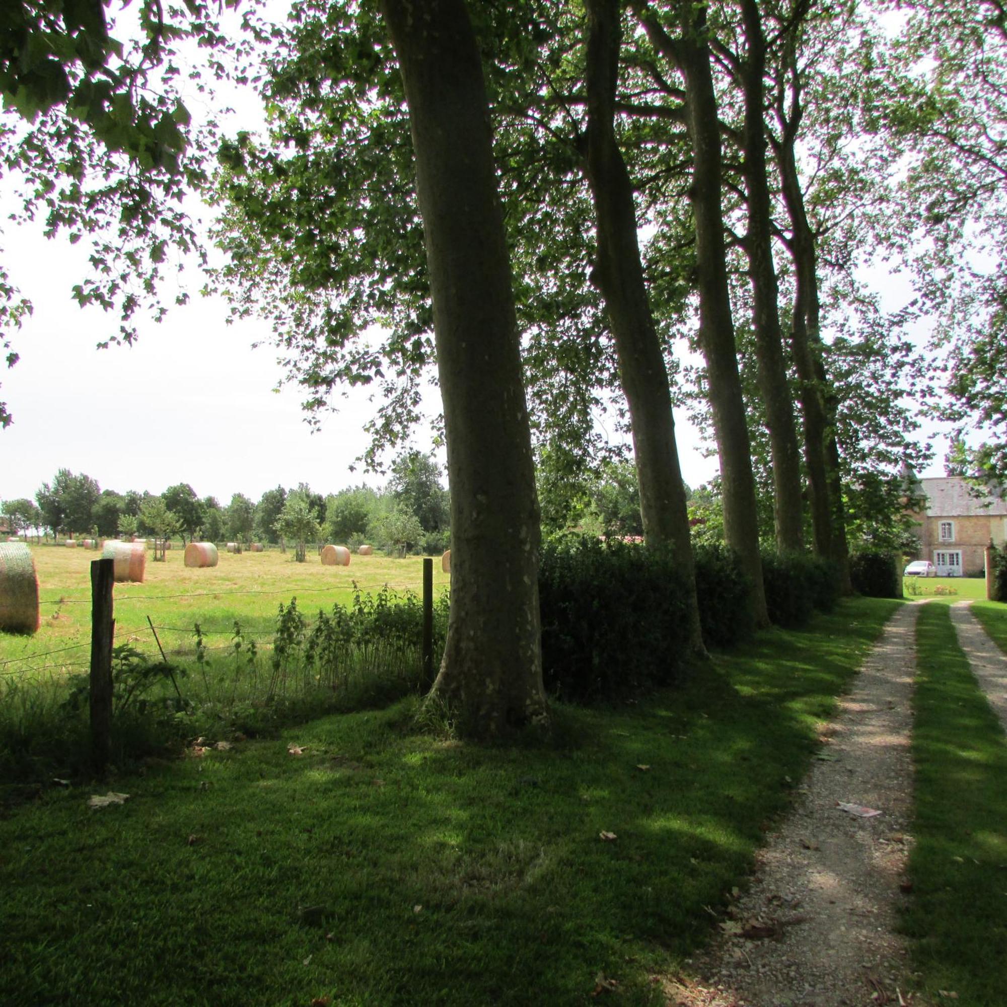 Gite Manoir Les Camps Greslins Questrecques Bagian luar foto